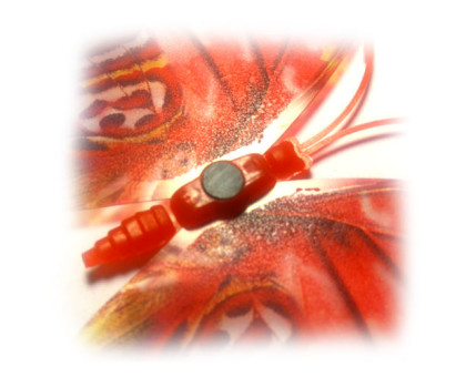 Drugelis šviečiantis tamsoje N267; 9x6cm