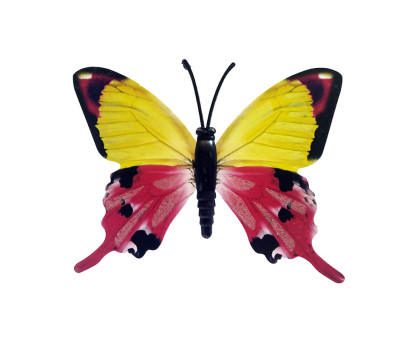 Drugelis šviečiantis tamsoje N205; 8x7cm