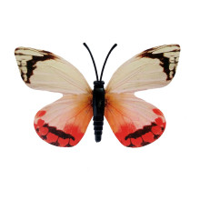 Drugelis šviečiantis tamsoje N224; 9x6cm