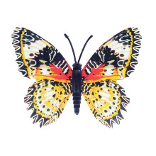 Drugelis šviečiantis tamsoje N227; 8x7cm