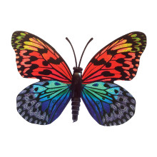 Drugelis šviečiantis tamsoje N228; 7x9cm