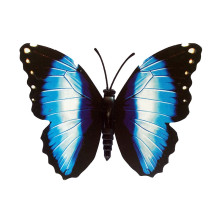 Drugelis šviečiantis tamsoje N260; 8x7cm