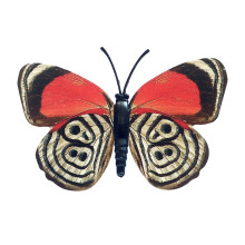 Drugelis šviečiantis tamsoje N555; 8x6cm