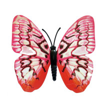 Drugelis šviečiantis tamsoje N563; 8x9cm