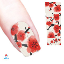 Lipdukai nagams Fragmentai 148