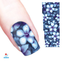 Lipdukai nagams Fragmentai 164