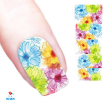 Lipdukai nagams Fragmentai 168