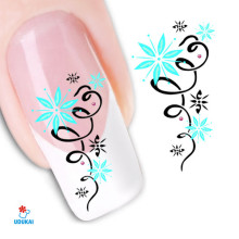 Lipdukai nagams Ornamentas 1426