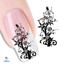 Lipdukai nagams Ornamentas 1431