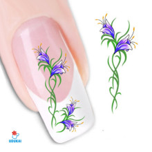 Lipdukai nagams Ornamentas 1433