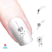 Lipdukai nagams Pienės