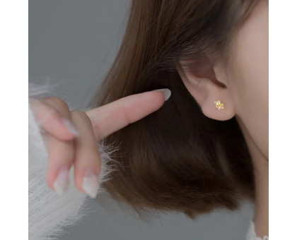 Auskarai Meškiukai su kristalais; 2vnt