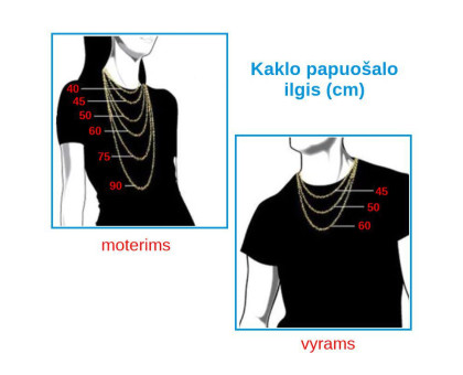 Grandinė kaklo papuošalas Gyvatė Silver sidabro spalvos; 34-41cm