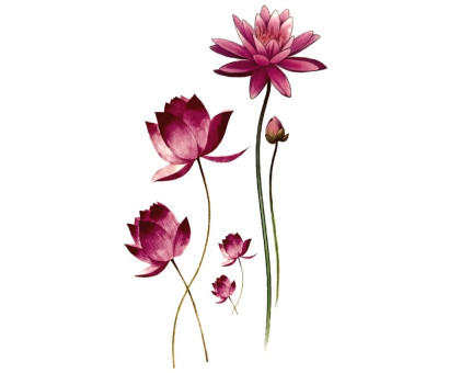 Laikina tatuiruotė Gėlės 020; 10x6cm