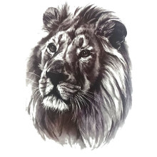 Laikina tatuiruotė Liūtas 8357; 19x12cm