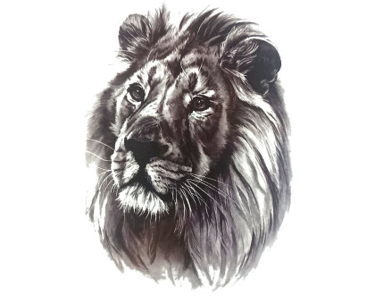 Laikina tatuiruotė Liūtas 8357; 19x12cm