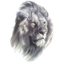 Laikina tatuiruotė Liūtas 8394; 19x12cm