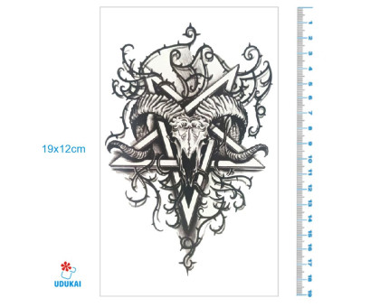 Laikina tatuiruotė Žvaigždė 8422; 19x12cm