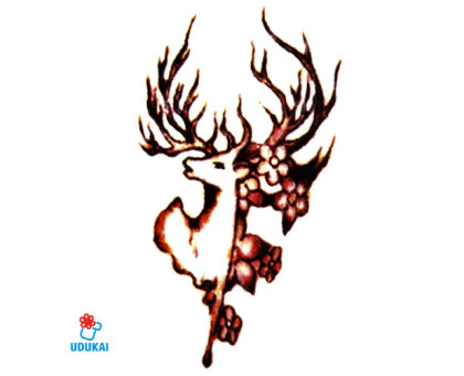 Laikina tatuiruotė Elnias-SYA008; 10x6cm