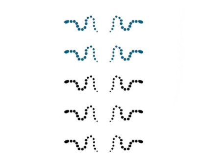 Laikina tatuiruotė Ornamentas 192