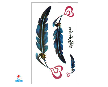 Laikina tatuiruotė Plunksnos 56059; 10x6cm