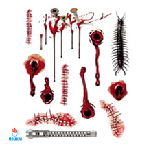 Laikina tatuiruotė Rinkinys 3023; 16x12cm