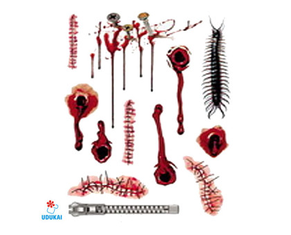 Laikina tatuiruotė Rinkinys 3023; 16x12cm