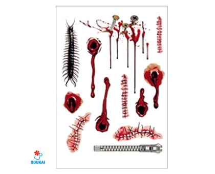 Laikina tatuiruotė Rinkinys 3023; 16x12cm