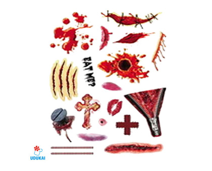 Laikina tatuiruotė Rinkinys 3025; 16x12cm