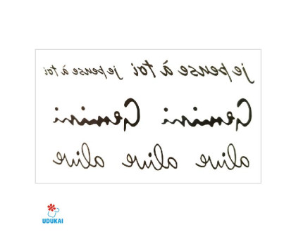 Laikina tatuiruotė Gemini 81037; 10x6cm