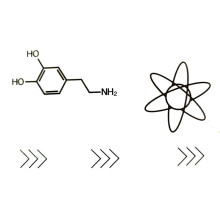 Laikina tatuiruotė Mokslai 81042; 10x6cm