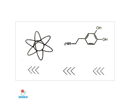 Laikina tatuiruotė Mokslai 81042; 10x6cm