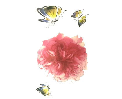 Laikina tatuiruotė Drugeliai I06; 10x6cm