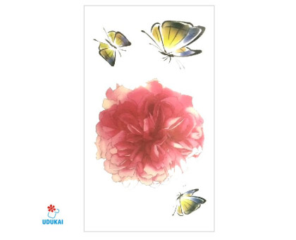 Laikina tatuiruotė Drugeliai I06; 10x6cm