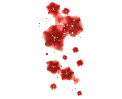 Laikina tatuiruotė Gėlės NN019; 10x6cm