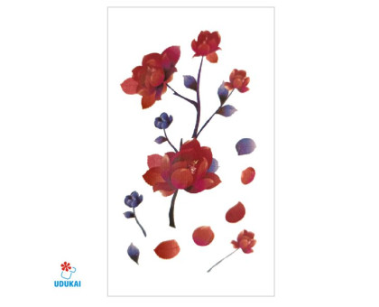 Laikina tatuiruotė Augalai NN022; 10x6cm