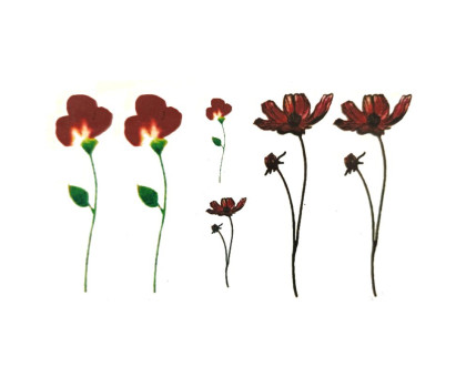 Laikina tatuiruotė Augalai NN038; 10x6cm