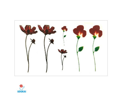 Laikina tatuiruotė Augalai NN038; 10x6cm