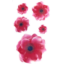 Laikina tatuiruotė Augalai NN041; 10x6cm