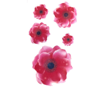 Laikina tatuiruotė Augalai NN041; 10x6cm