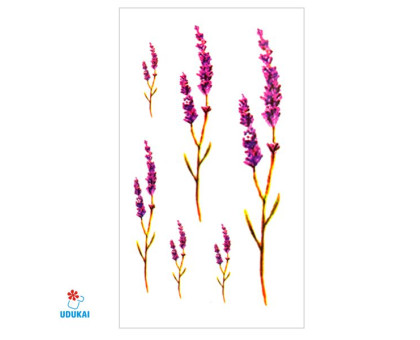 Laikina tatuiruotė Augalai NN042; 10x6cm