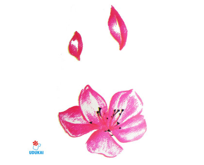 Laikina tatuiruotė Gėlė B03; 10x6cm