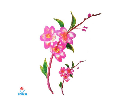 Laikina tatuiruotė Gėlės B24; 10x6cm