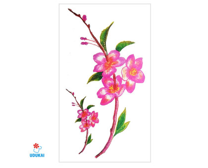 Laikina tatuiruotė Gėlės B24; 10x6cm