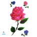 Laikina tatuiruotė Rožė E16; 10x6cm