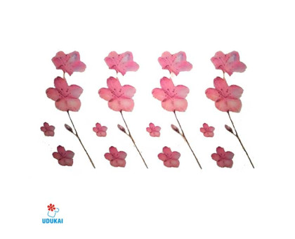 Laikina tatuiruotė Gėlės-A028; 10x6cm