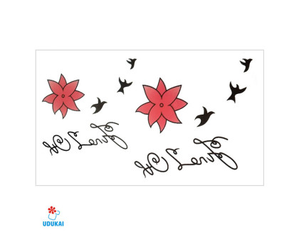 Laikina tatuiruotė Mix W013; 10x6cm