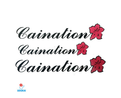 Laikina tatuiruotė Gaination W016; 10x6cm